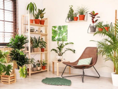 Chanchamayo quán cafe nổi tiếng bởi thiết kế độc lạ ở Sài Gòn Chanchamayo quán cafe nổi tiếng bởi thiết kế độc lạ ở Sài Gòn