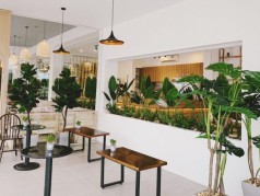 Trang trí không gian quán cà phê đẹp – đơn giản và dễ dàng